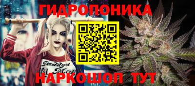 шишки Камышлов